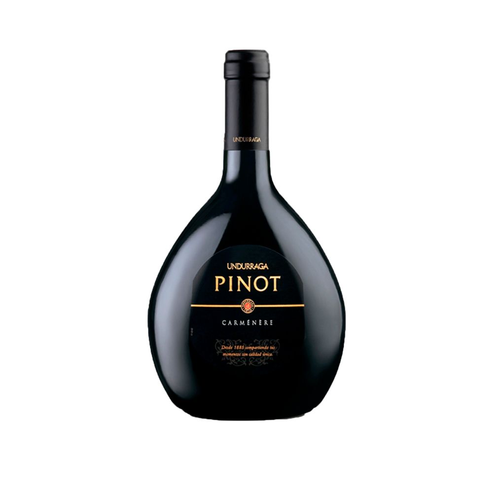 Imagen de 1 Sopa Gourmet Pollo c/Fideos 70 g incluido en Canasta Desierto Florido Irurzun